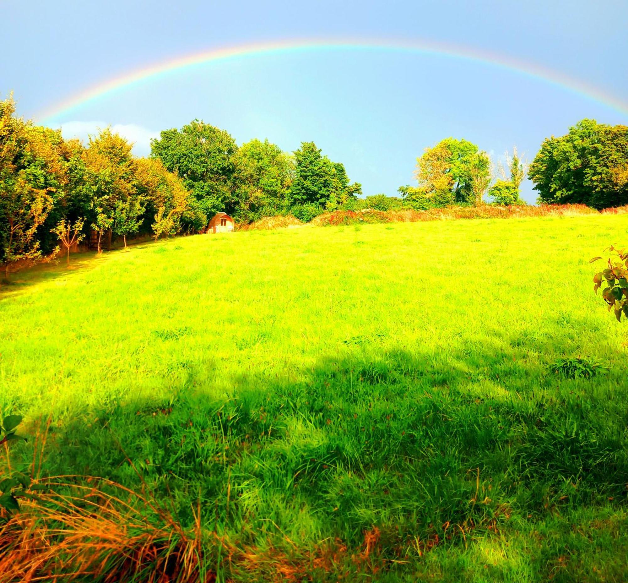 Hotel Ceridwen Glamping, Double Decker Bus And Yurts Llandysul Exteriér fotografie