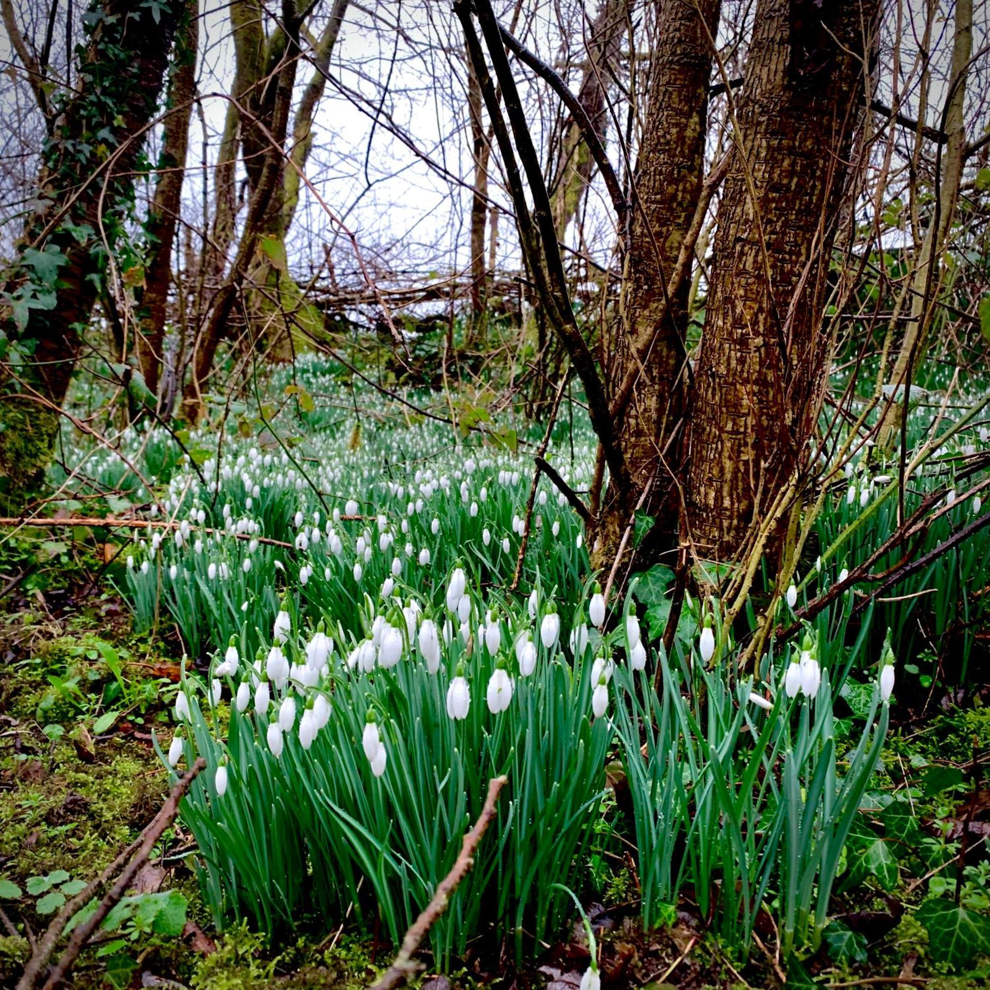 Hotel Ceridwen Glamping, Double Decker Bus And Yurts Llandysul Exteriér fotografie